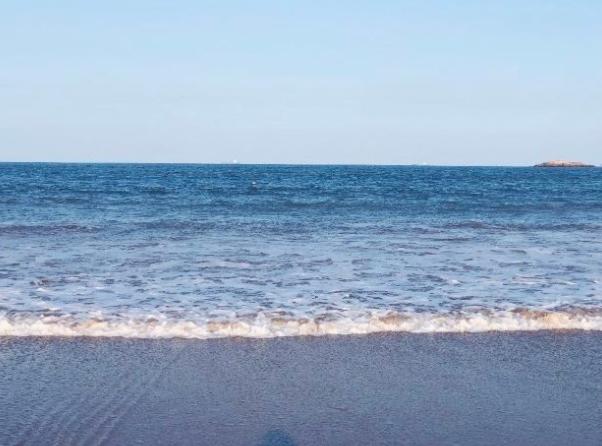 海滨风车王国,浙江有大风车的旅游景点