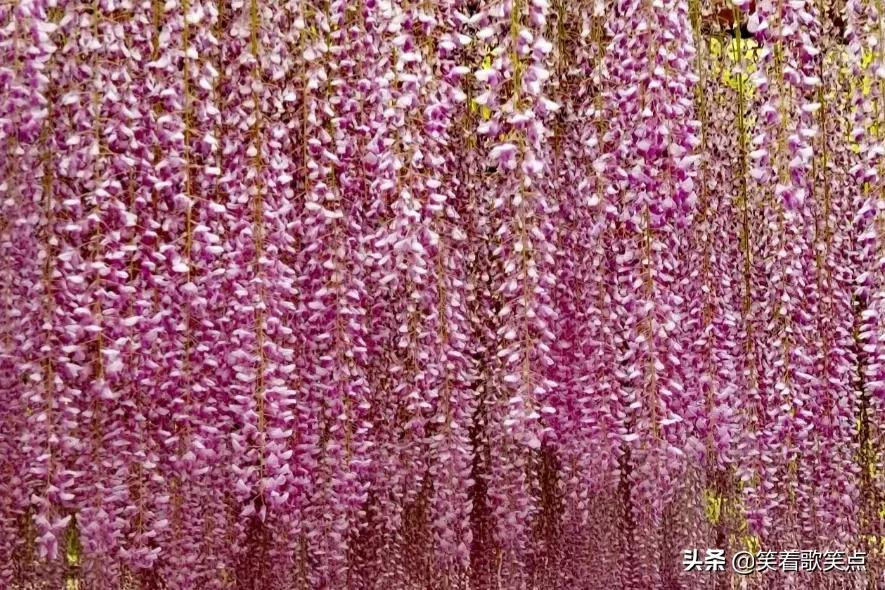 小小说：真是病得不轻