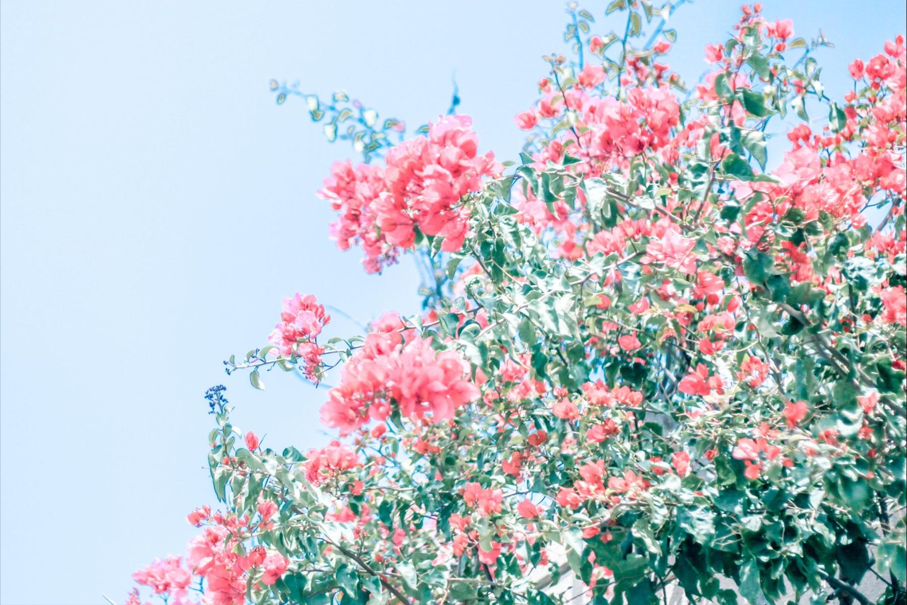 2022年摩羯座12月运势完整版,摩羯座十二月身体运势如何