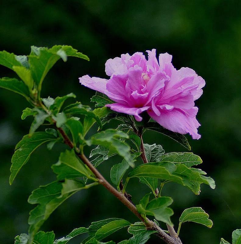 妻的周六平庸又充实