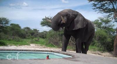 血月天文奇观图片,血月奇景图片