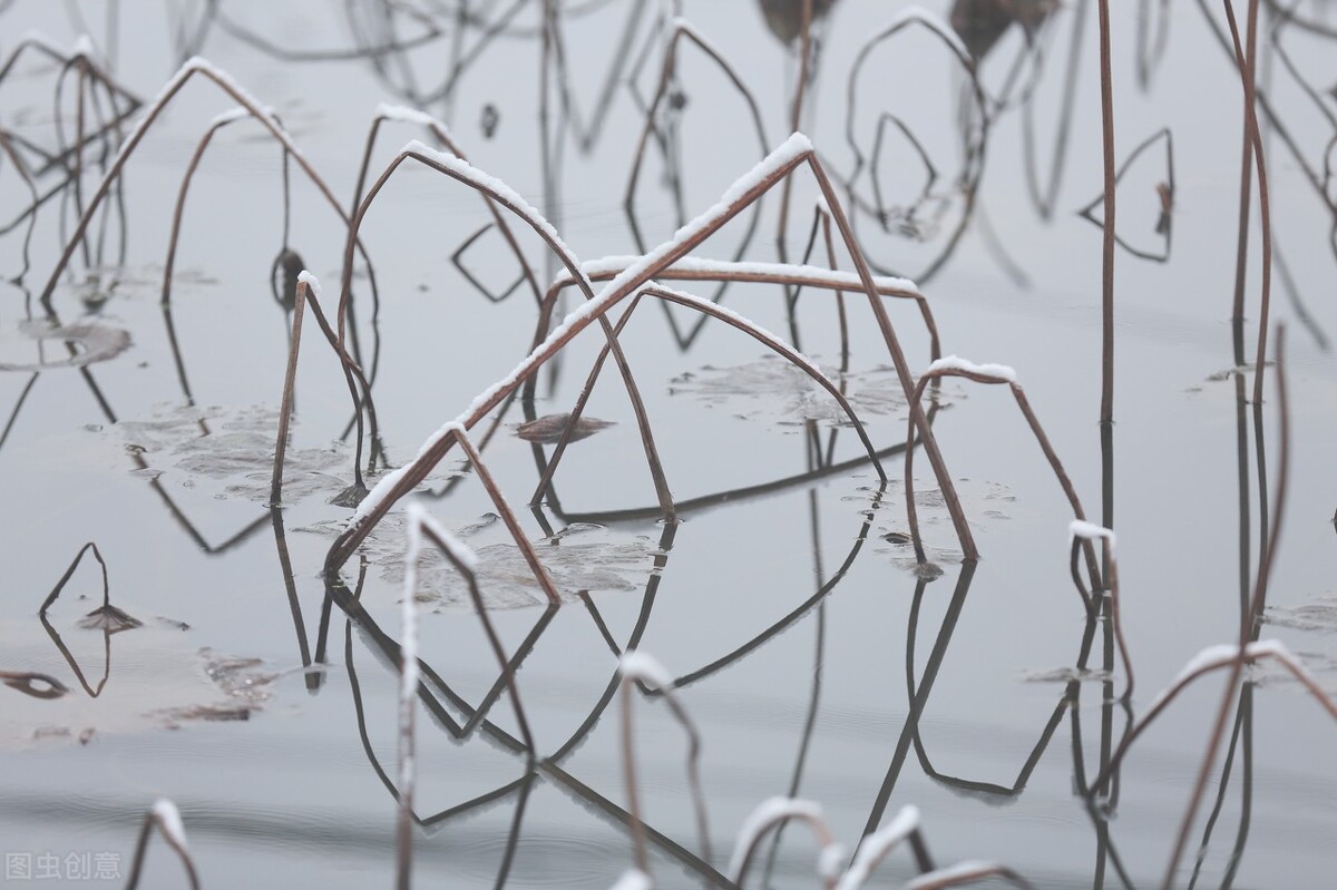 十首古诗离愁,十首最典型的悲秋诗词