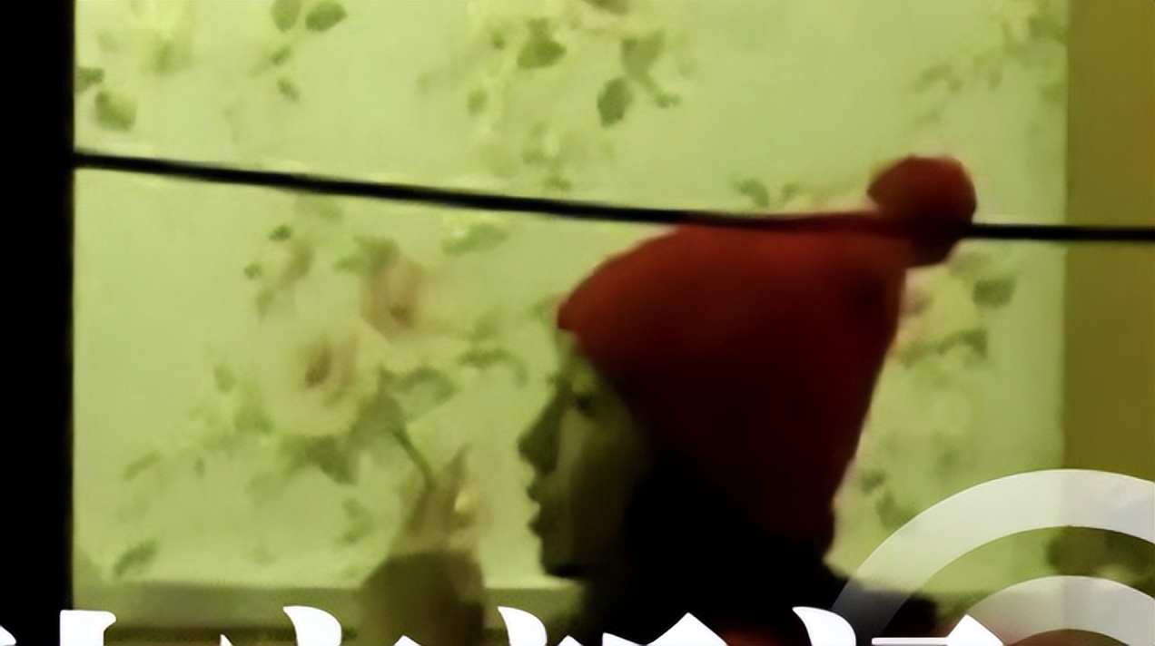 白百何近照曝光喝酒抽烟动作娴熟,白百何最邋遢的一次走红毯