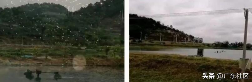 春季国内观鸟热门地,这份观鸟地图请收好