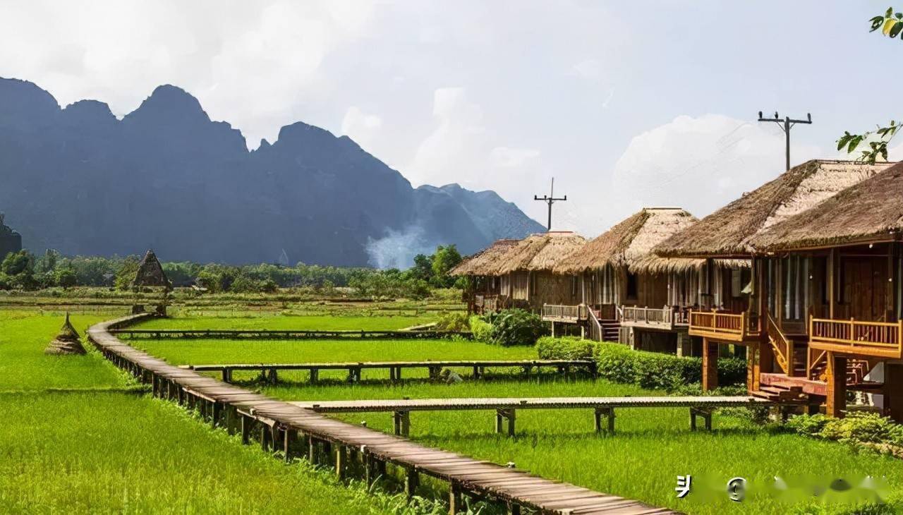 返乡创业都有哪些项目,年轻人返乡创业项目有哪些