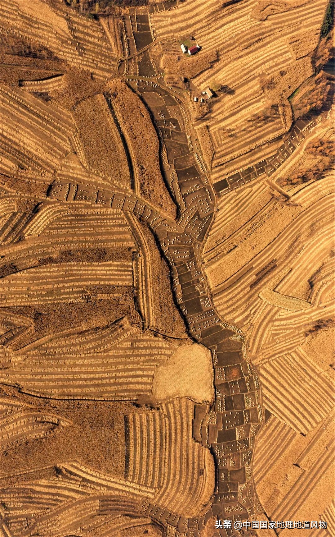 吉林省产粮大县是哪个县,吉林是产粮大省