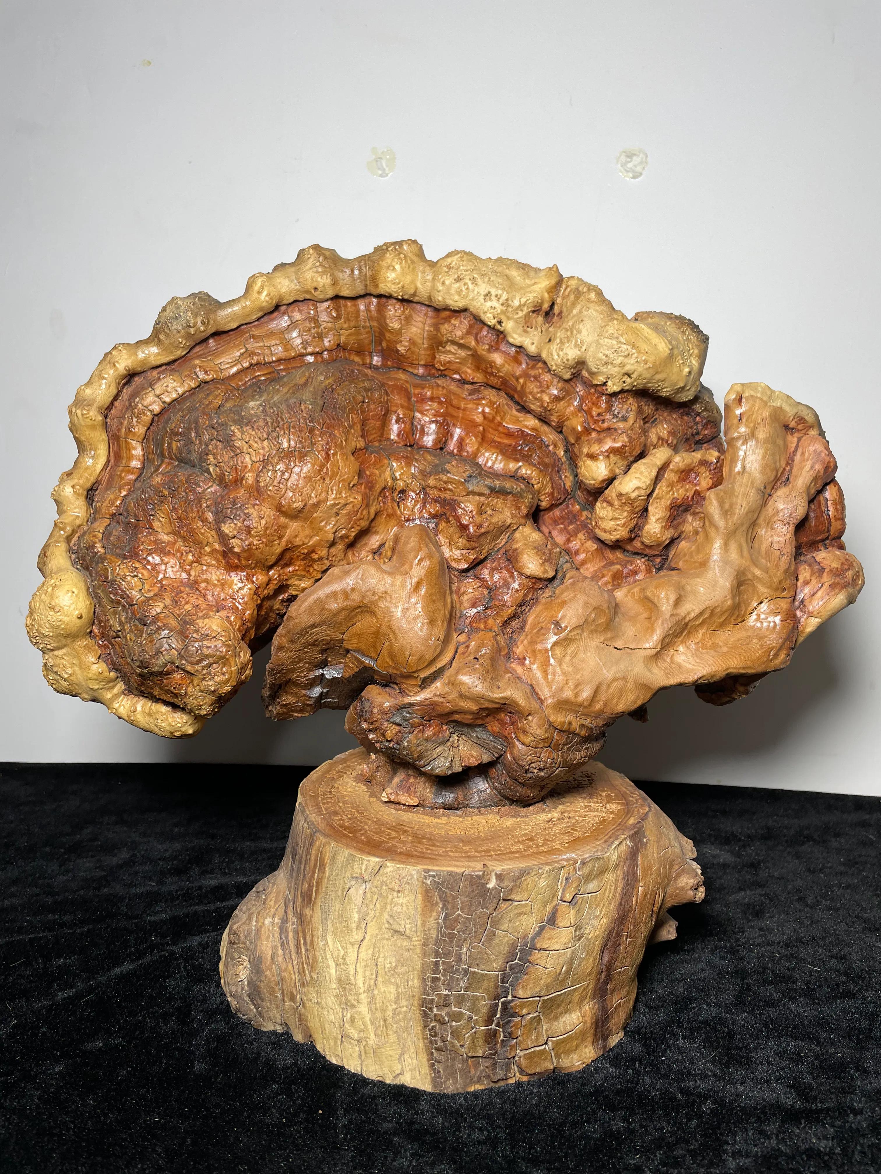 根雕根艺作品,文山根雕根艺最新图片