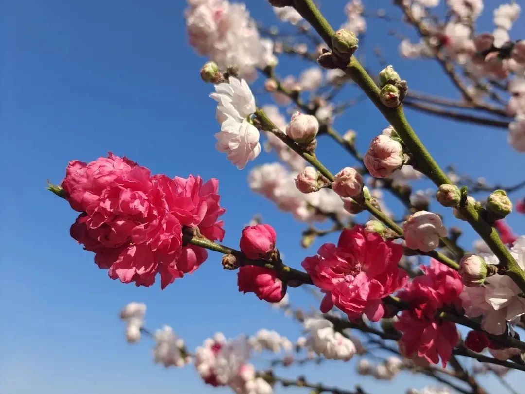 呈贡可以露营的公园,呈贡附近小众的露营地