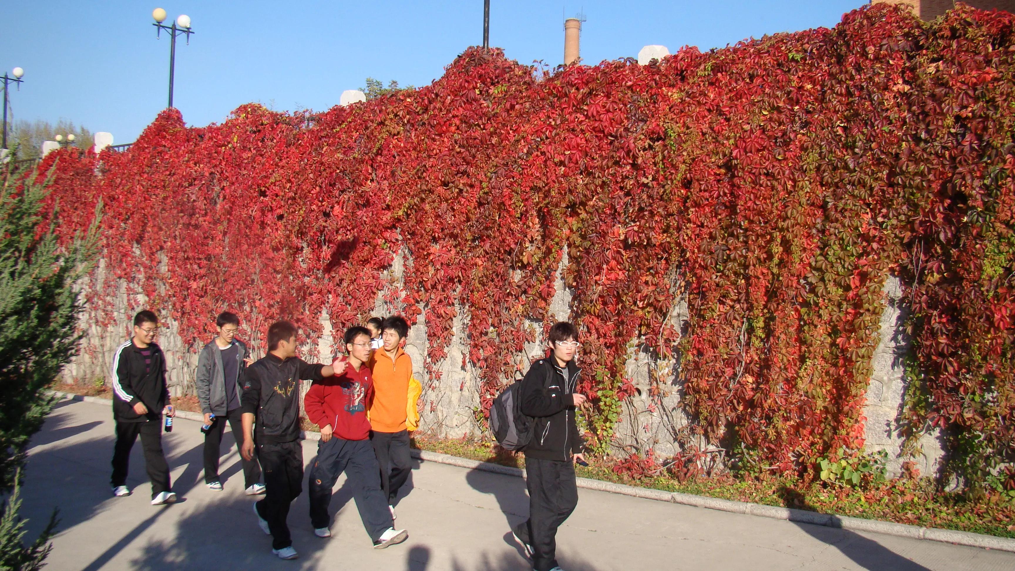 90后农村小伙逆袭之路,从农村出身到年入百万的逆袭路