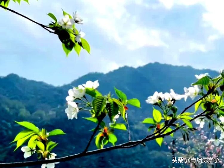 晏殊诗词踏莎行视频,踏莎行吴文英诗词
