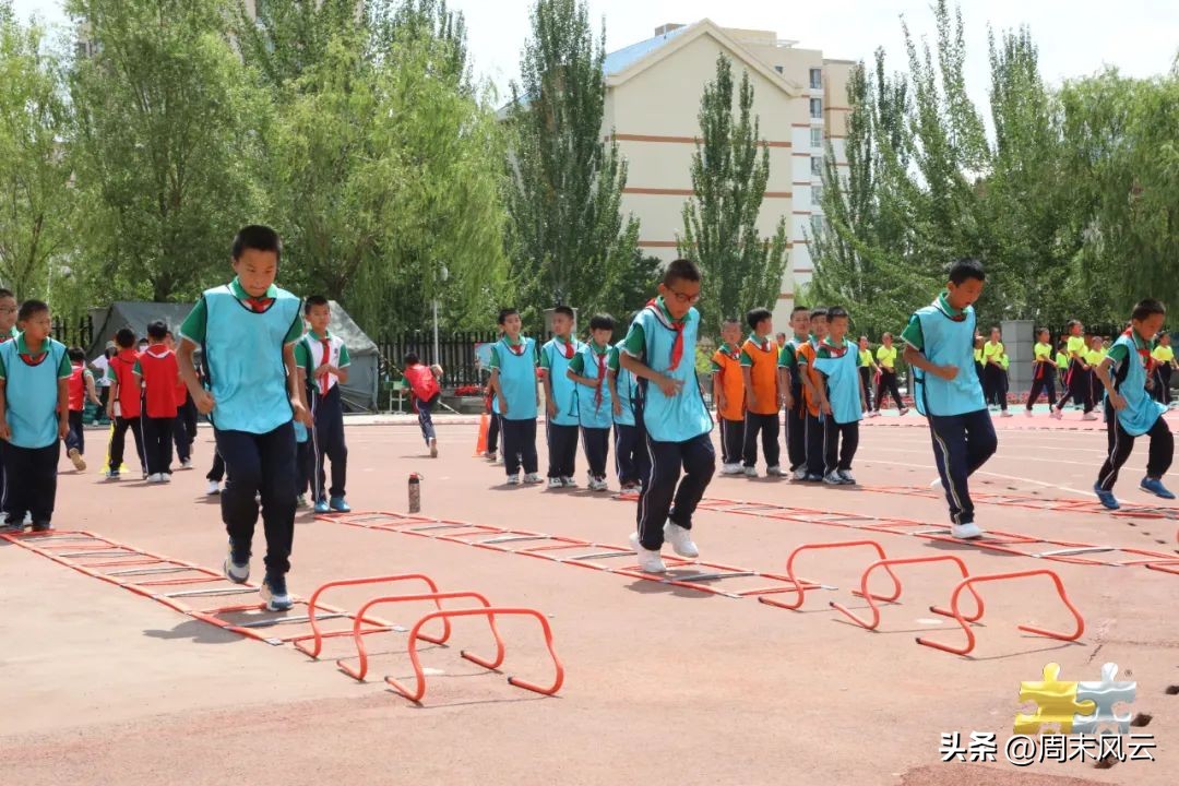 小学体育走班制教学,小学体育教学改革