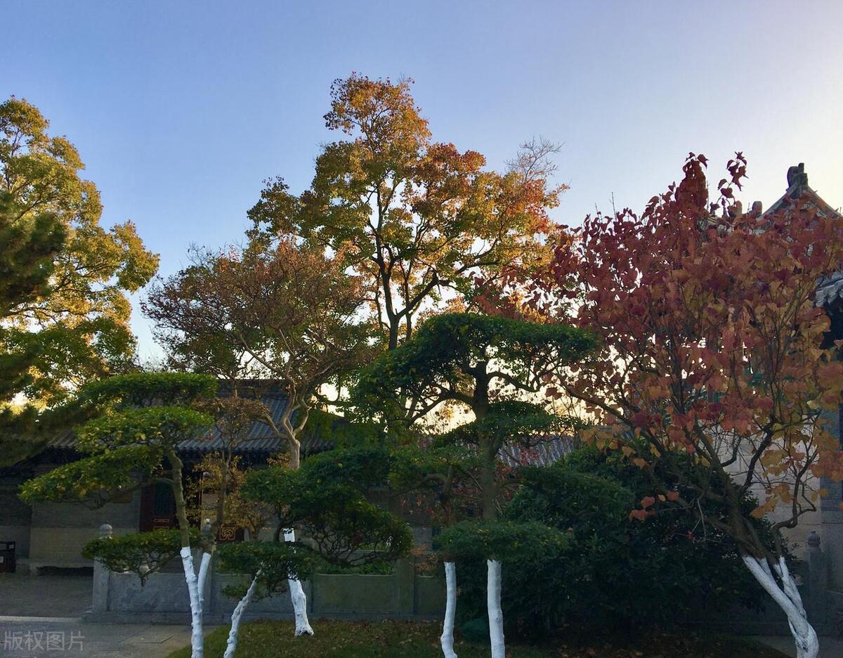 山东省AAAAA旅游景点,5a级景区排行榜山东附近