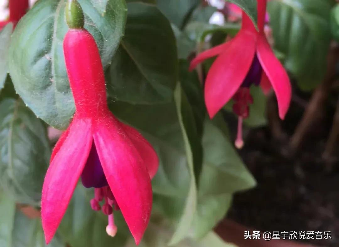 分享惊艳的图片,分享美景的图片卡点