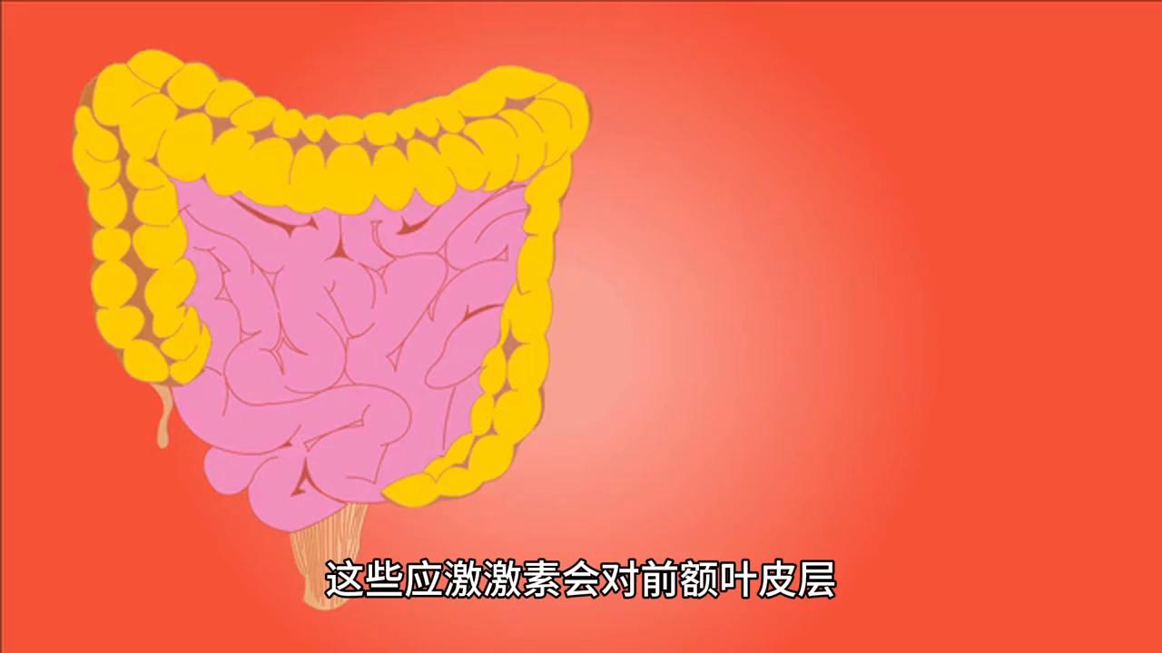 无法控制大脑胡思乱想心慌怎么办,不受控制的胡思乱想是什么原因