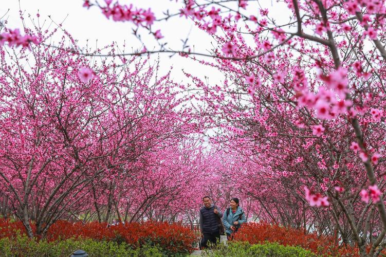 缇庢櫙璇楄瘝娆h祻,缇庢櫙璇楄瘝鍥涘瓧