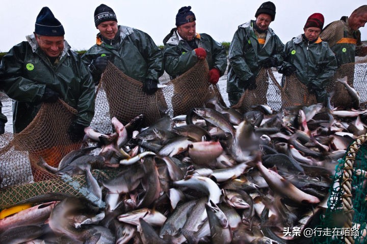 勘察加半岛土著：俄联邦视为“外邦民族”，拒绝联姻保留血统