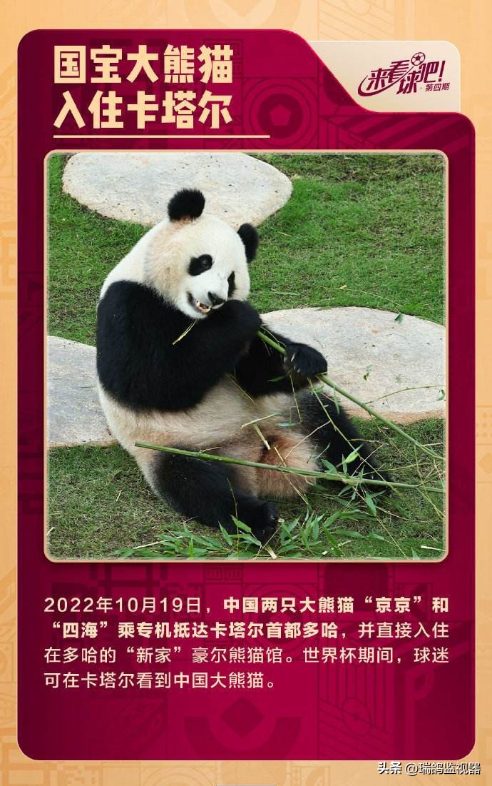 不容错过的重大足球赛事精彩瞬间,重大赛事