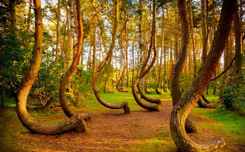 鬼斧神工大自然十大奇观,地球上的七大自然奇观