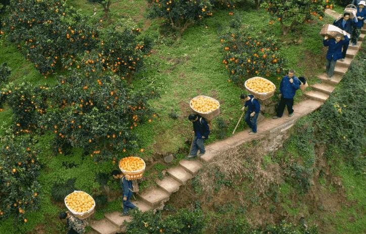 为什么拼多多的商品非常便宜,为什么拼多多的商品那么便宜