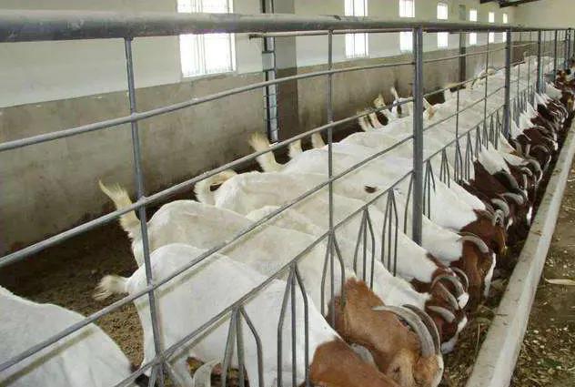 未来十年农村最具前景的行业,未来5年农村最有前景的行业