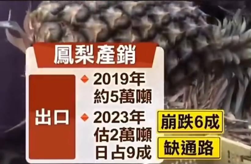 台湾水果商怒斥台当局,台湾凤梨果农斥蔡当局不要乱讲