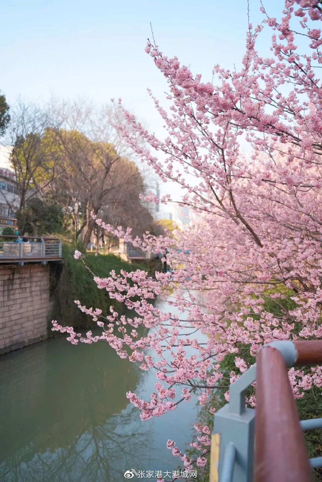 在张家港没钱可以做什么生意,张家港50万能做什么