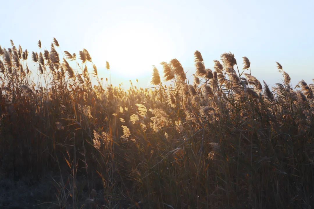 太湖西山岛冬季旅游攻略,苏州太湖西山岛有什么玩的