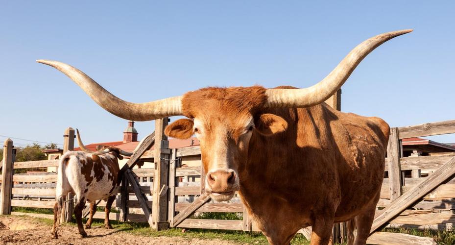 美国实力最大的州是哪一个,美国是50个州还是51个州