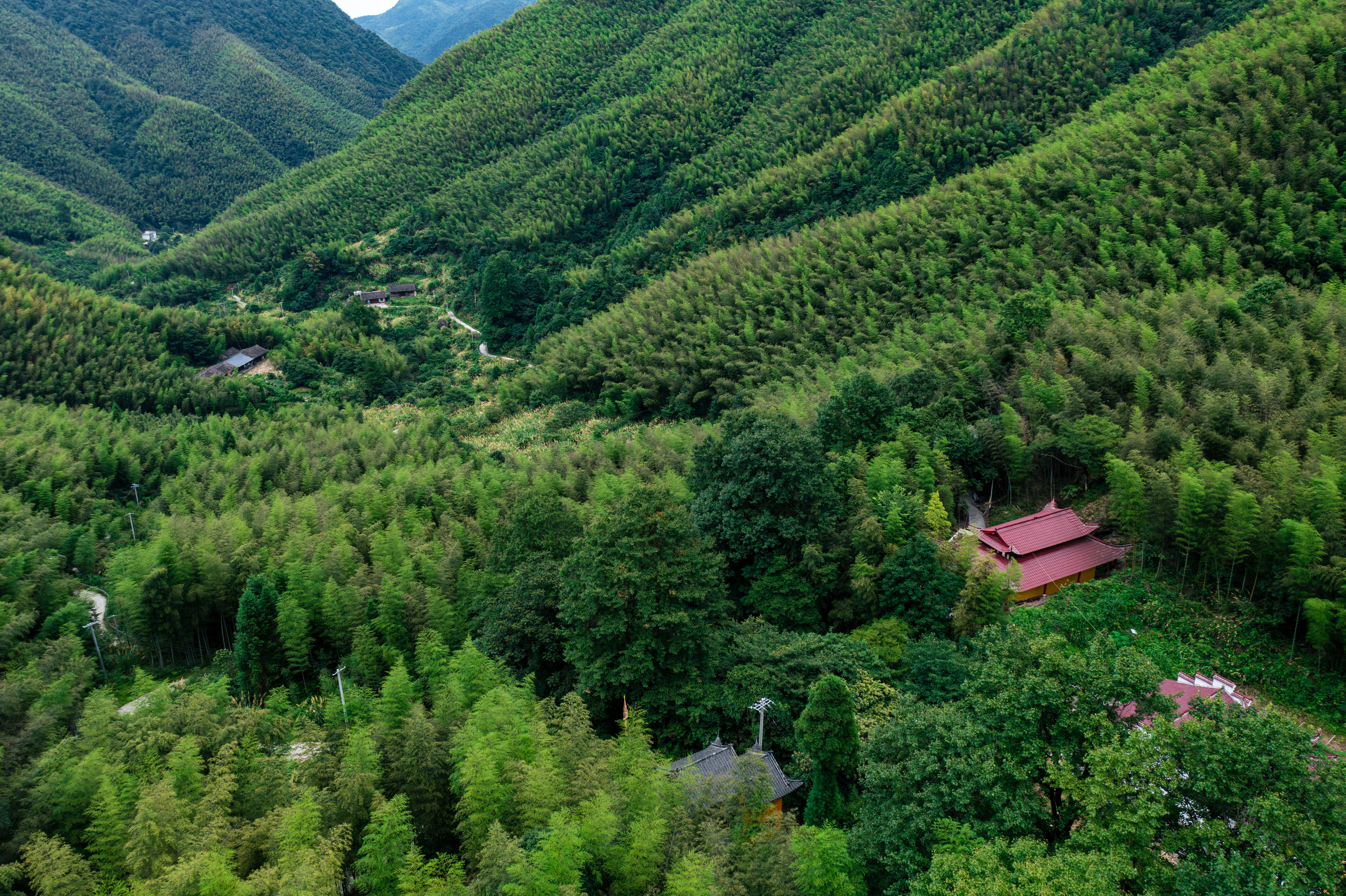 行游五府山：解密3宝，山野美味游走舌尖，传递平实的幸福