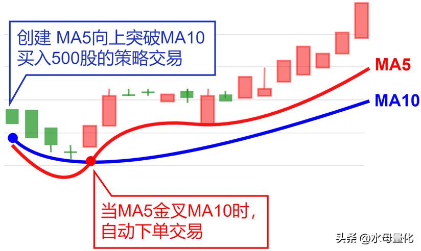 水母量化交易软件免费版,水母量化交易平台app下载官网