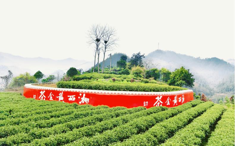 神秘湘西走个春在家吃自助烧烤,神秘湘西走个春