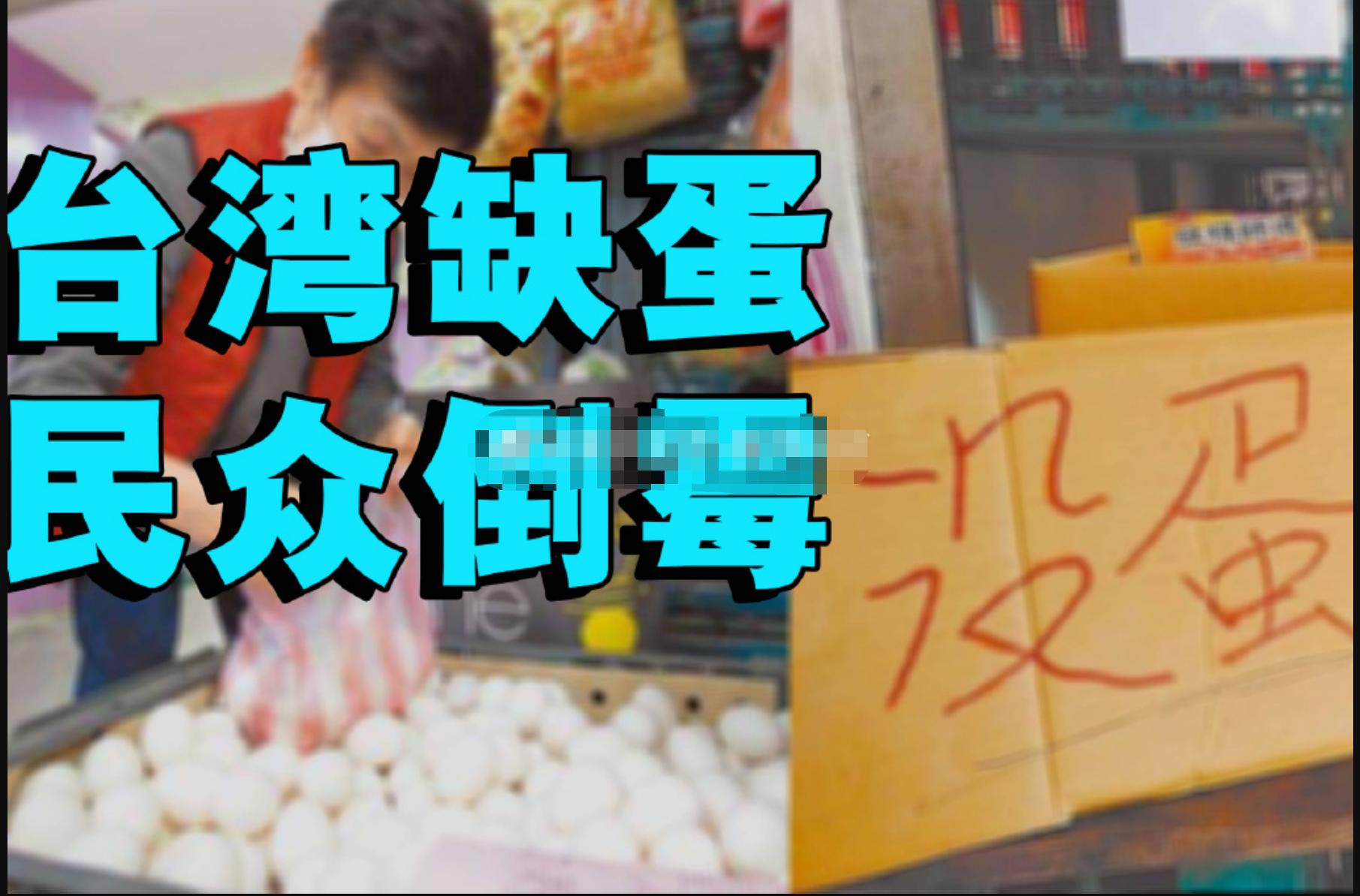 台湾买24颗鸡蛋花了400块,台湾买500万颗鸡蛋