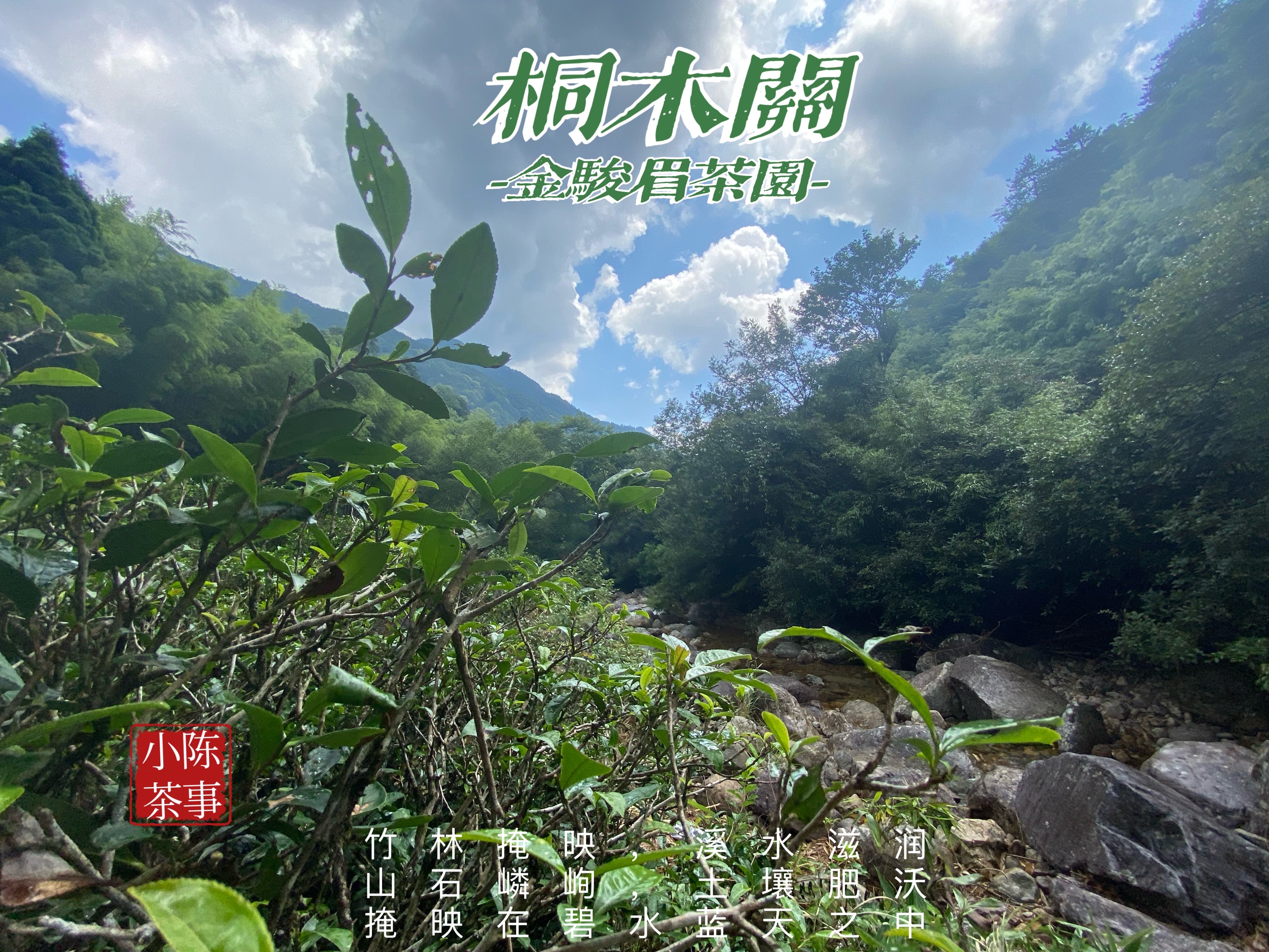 红茶金骏眉的价位,红茶金骏眉好点多少钱一斤