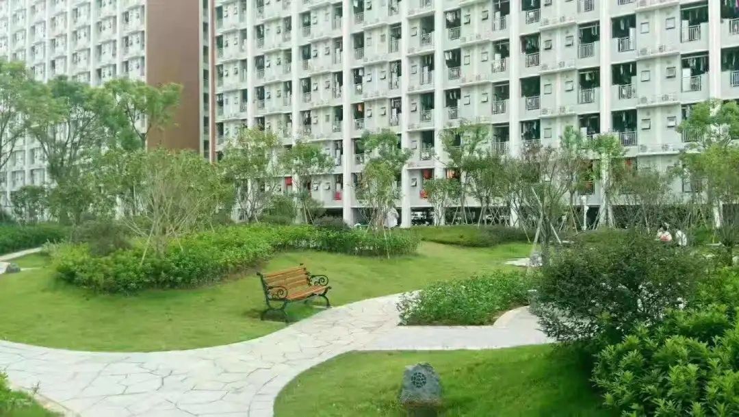 宁德新能源待遇怎么样2020,宁德新能源待遇怎么样