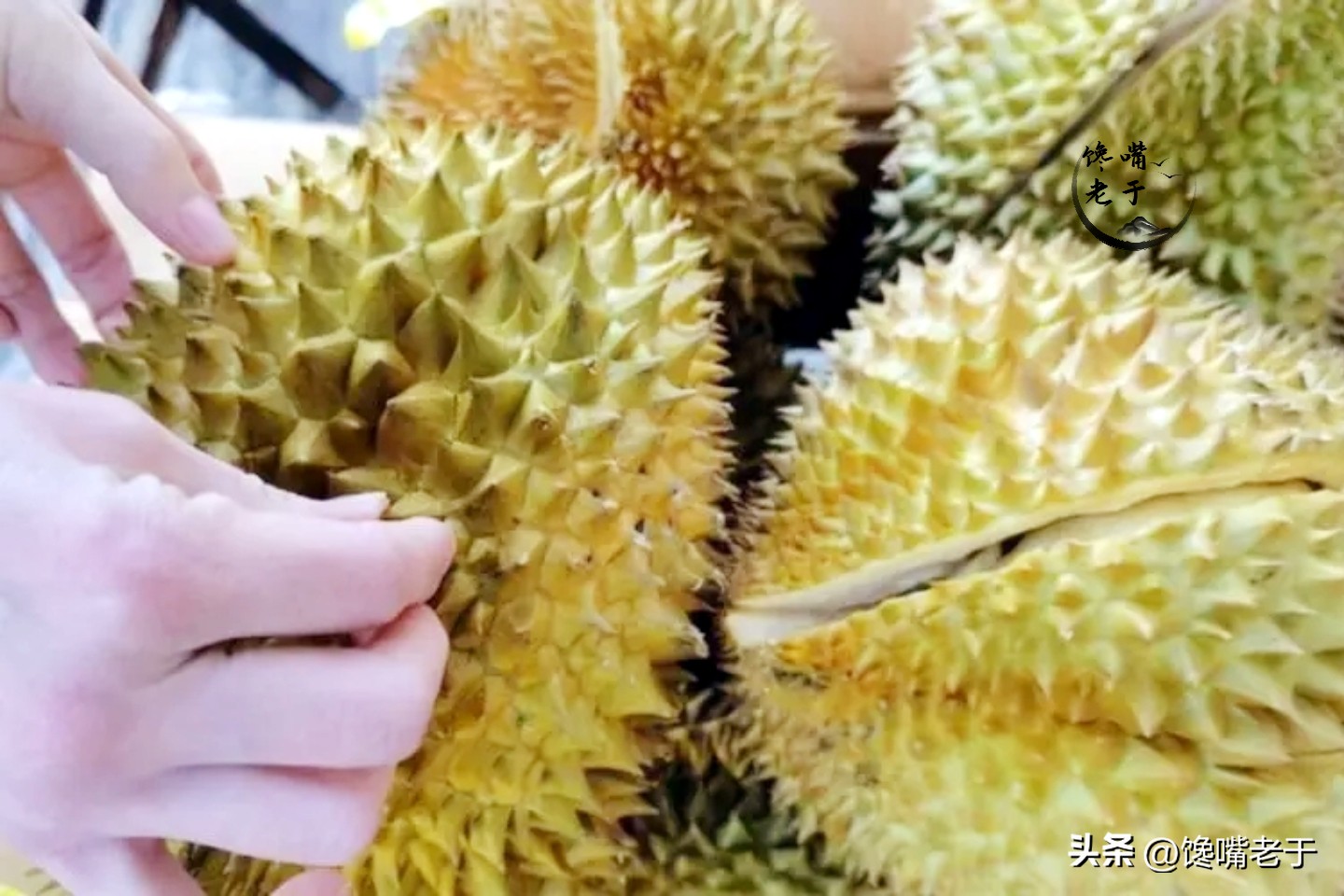 买榴莲是买轻点的还是重点的,买榴莲时老板直呼内行