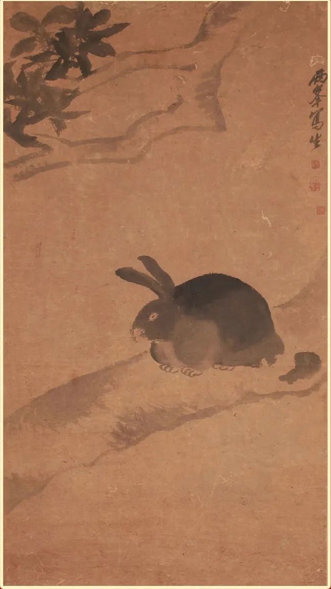 兔年说兔的文案,兔年说兔文章