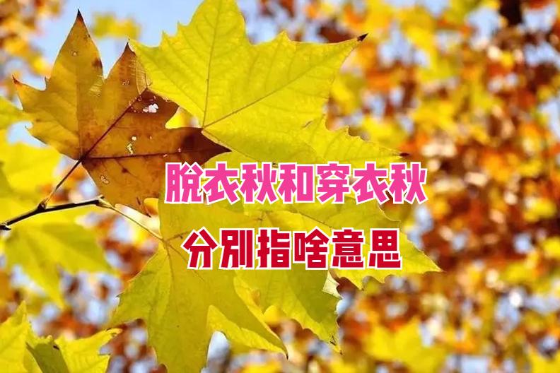 立秋老人有什么说法,有位老人讲述今年立秋是早还是晚