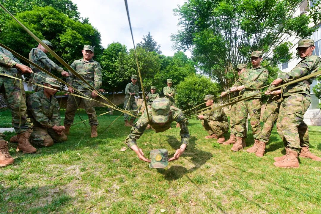 信任背摔保护人手势,信任背摔视频