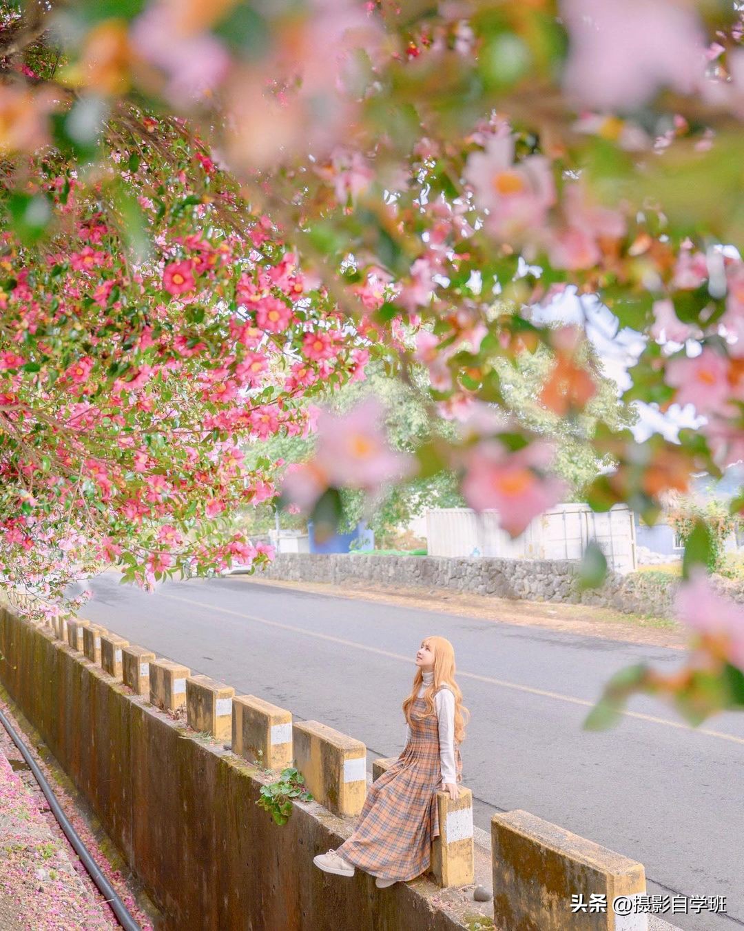 拍风景照片的摄影技巧,风景摄影入门初学者拍照技巧