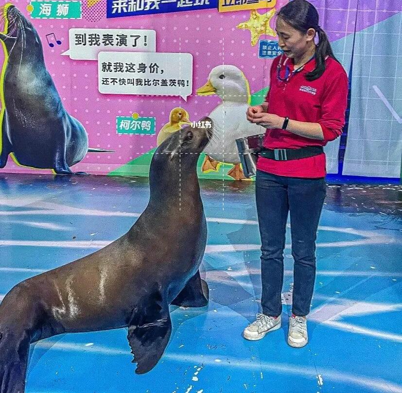 南京带孩子旅游攻略最新,南京亲子游玩攻略一日游价格