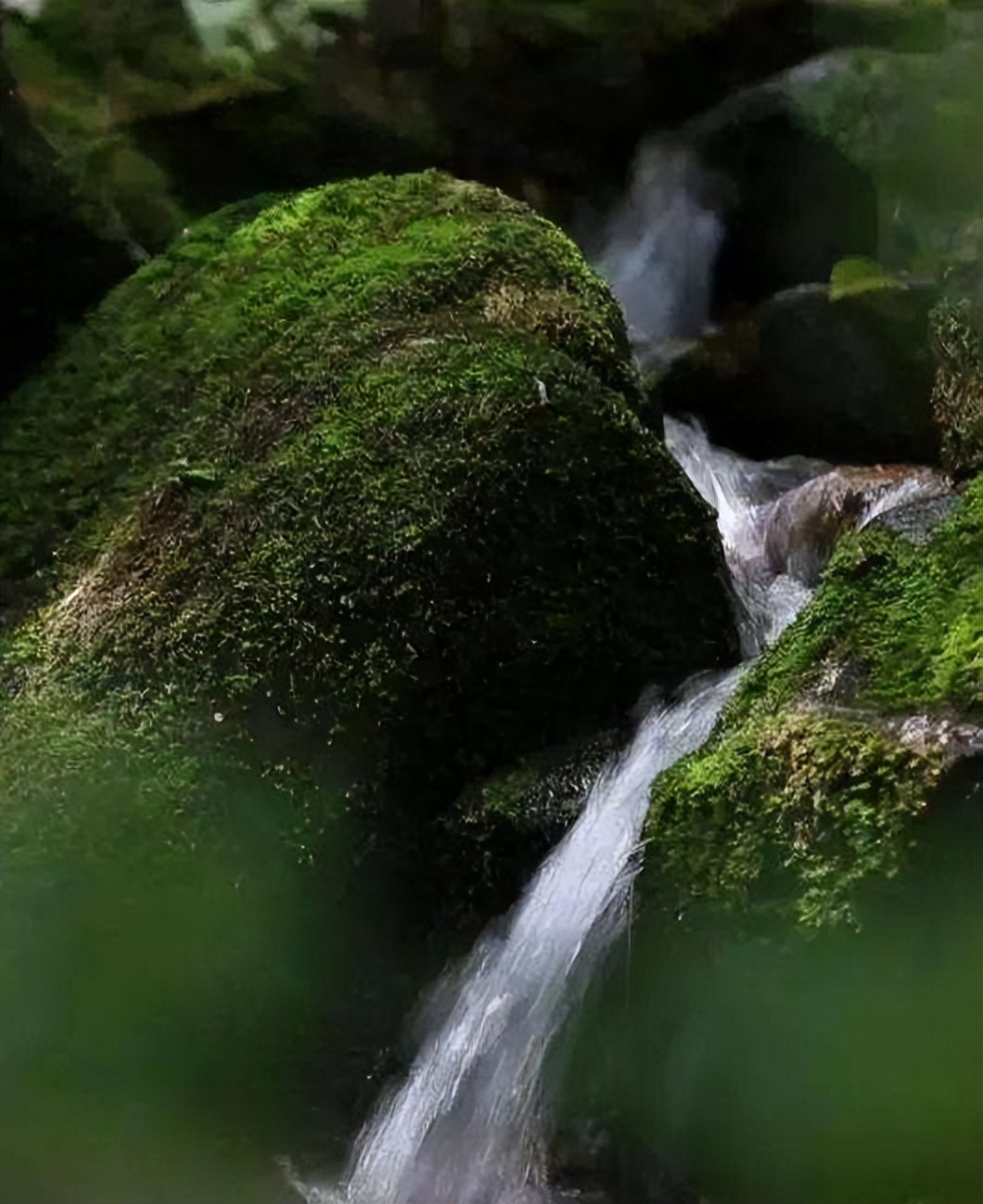 高高的紫云山,我们的青春故事曾在这里演绎