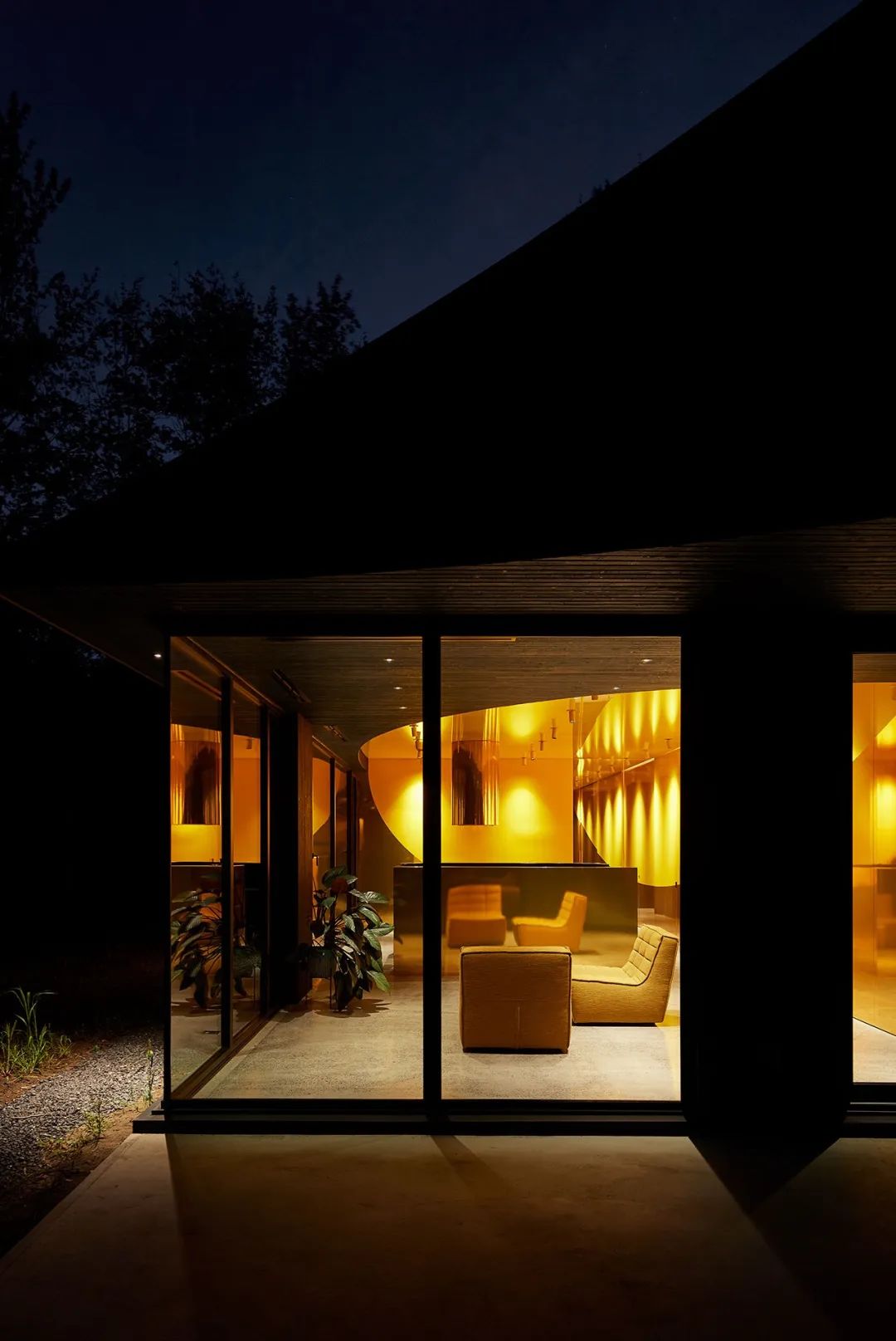 他们把家搬到了森林里，一间森林