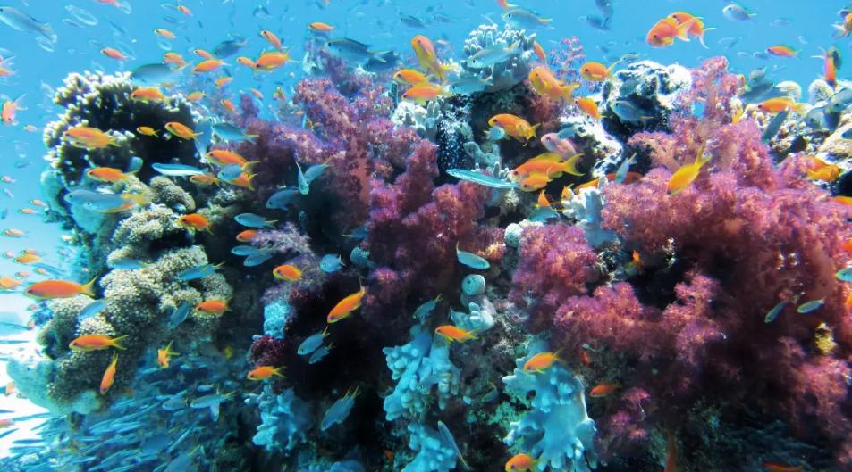 史上10大恐怖的大海,十大恐怖海洋之谜