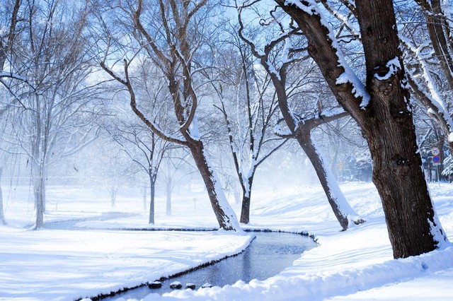 我帮同学交三年学费，他功成名就不接我电话，我拉黑后却来找我