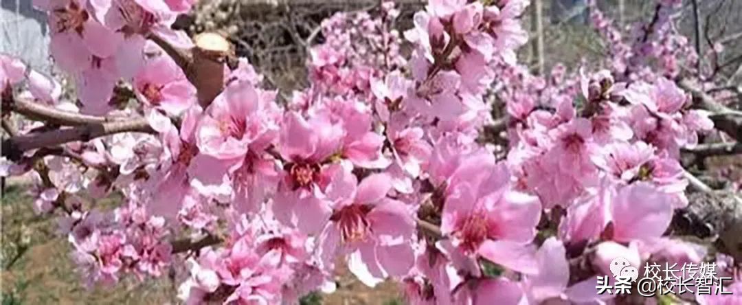 以道德情操滋养师德之魂——《如何成为一名好老师》读书心得