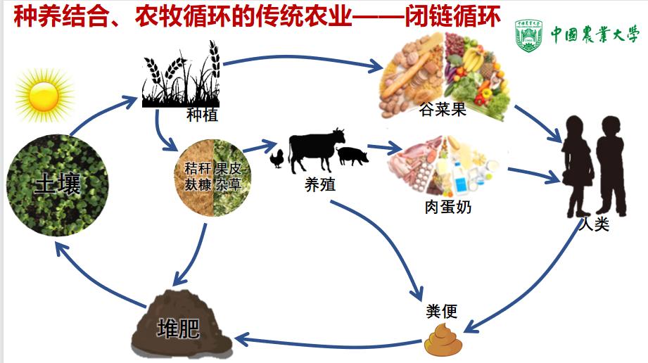 中国酵素农业现状,农用酵素有什么