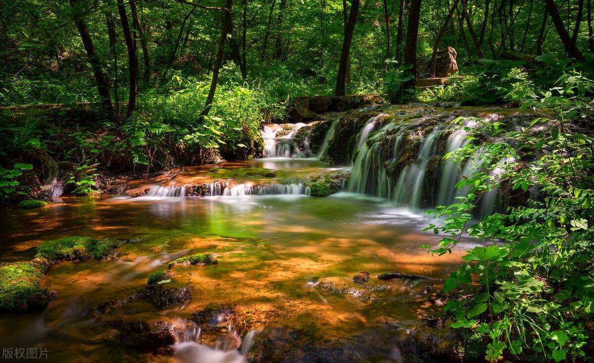 洛阳5月19日免费旅游景点有哪些,洛阳全部好玩的地方