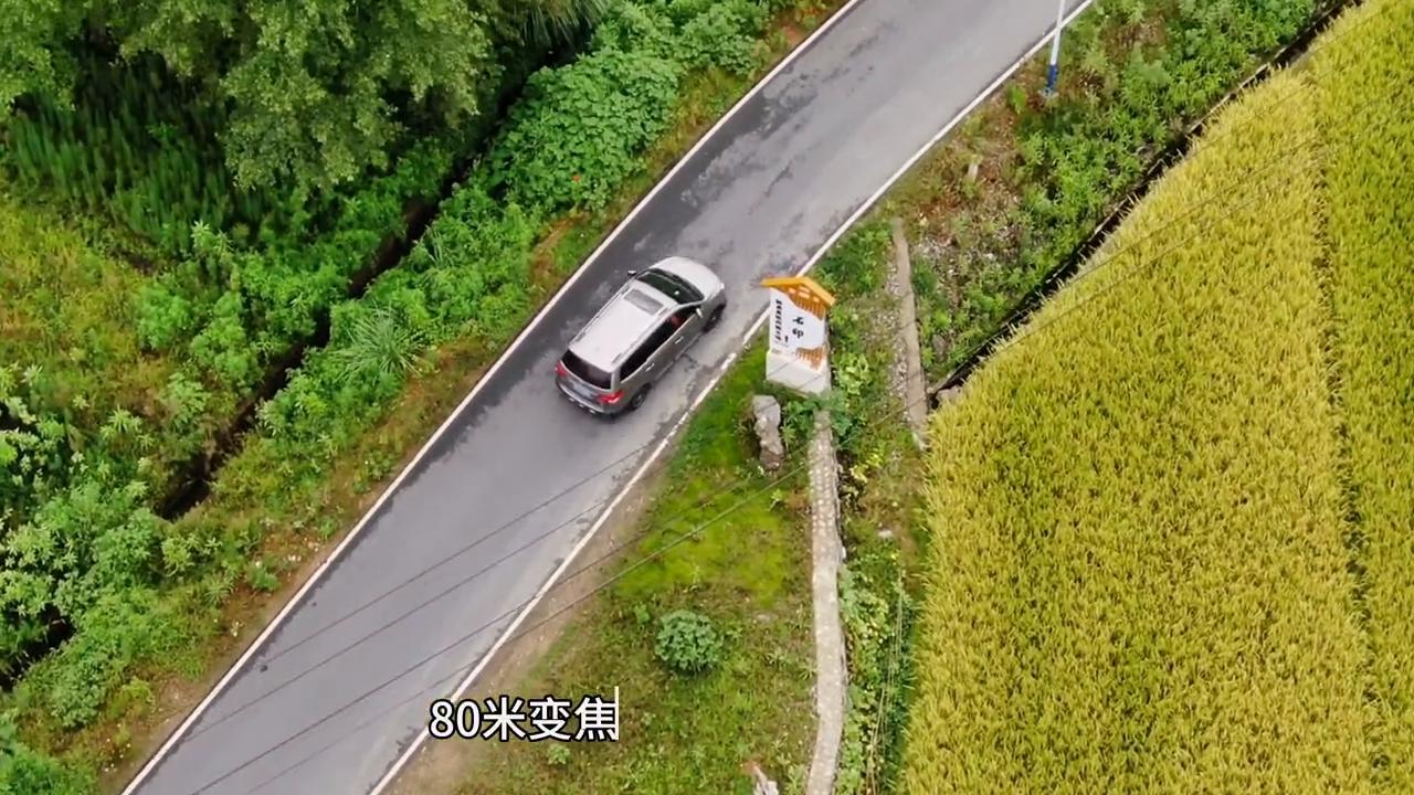 蜂群里如何区分幼蜂,如何通过守卫蜂判断蜂群大小