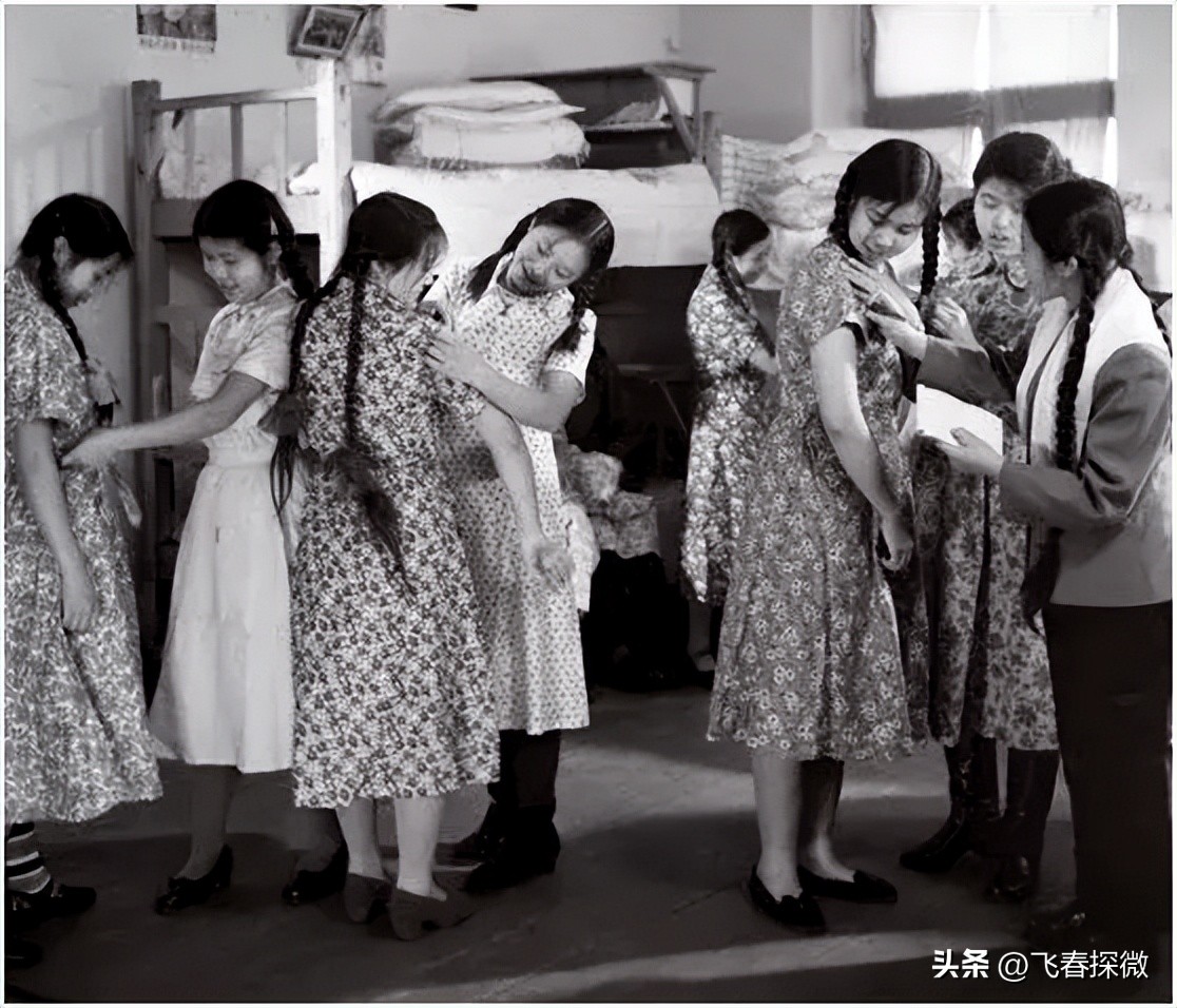 六七十年代用过的假领子,什么款式的假领子好