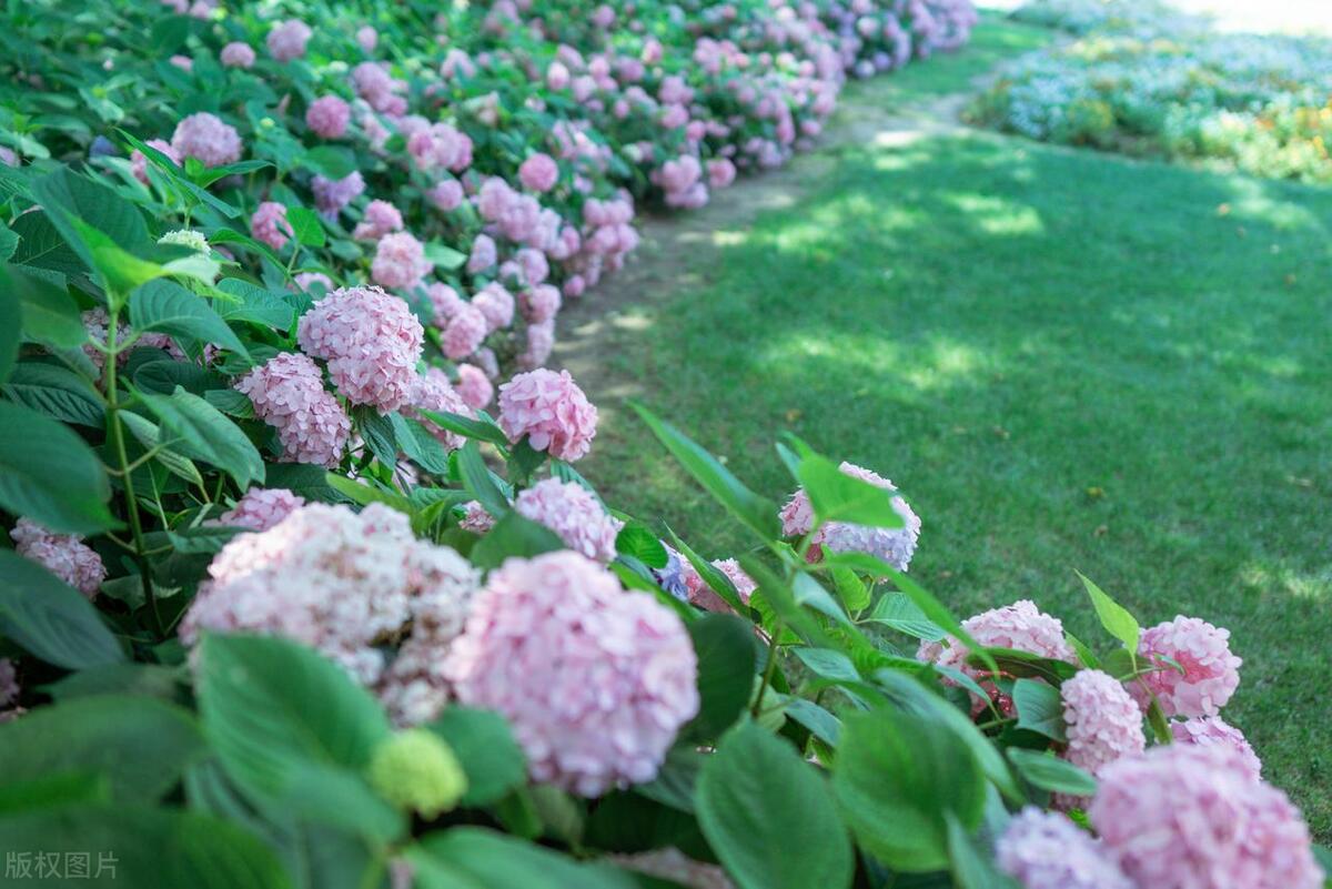 涓婃捣鍗佸ぇ璧忔鍦扮偣鎺掑悕,涓婃捣鍗佸ぇ璧忚姳鍏洯